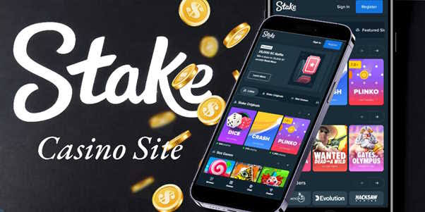 Stake Casino site 
